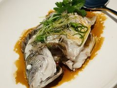 -金悦轩海鲜城(渔人码头店)
