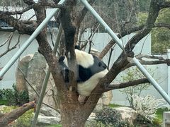 -无锡动物园·太湖欢乐园