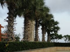 -亚龙湾中心广场
