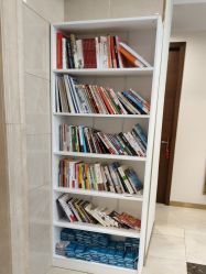 -碧莲盛·不剃发植发