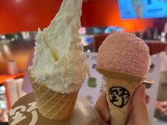 -野人先生现做冰淇淋(北京王府井东方新天地店)
