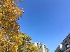 -水边人家·鱼宴餐厅·淳鱼馆(千岛湖店)