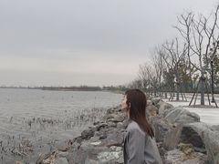 -南汇嘴观海公园