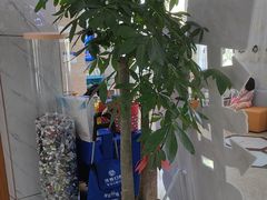 -茂菊口腔连锁(浦东南路店)
