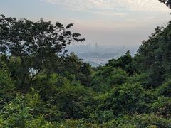 -火炉山森林公园