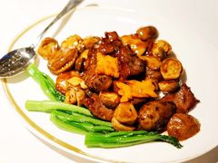 -金轩中餐厅 Jin Xuan(浦东丽思卡尔顿酒店)