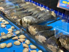 -宝轩渔府·老字号海鲜·正宗津菜(水上店)