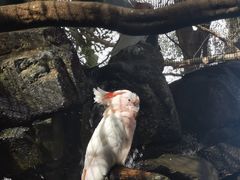 -可伦宾野生动物保护区