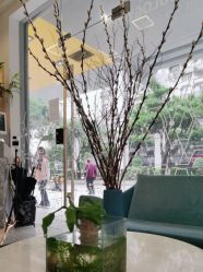-菲·木田moontin造型salon