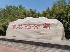 -莲花池公园
