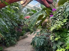 -沈阳植物园