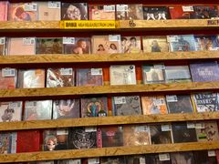 -独音唱片 Indie Music