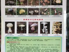 -双喜农庄·菌香园(安居家园店)