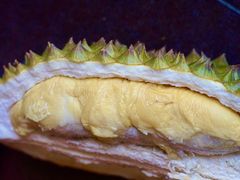 -百果园PAGODA(应元路店)