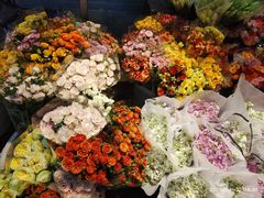 -循礼门鲜花花市(武汉循礼门店)