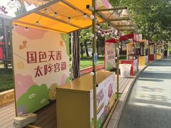 -太阳宫公园
