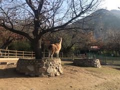 -西安秦岭野生动物园