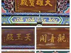 -东莞市大岭山森林公园