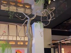 -桂满陇·海市蜃楼·黑金(国金店)