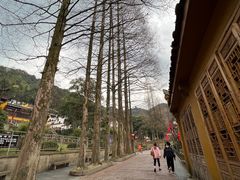 -九华山风景区