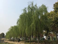 -漕湖湿地公园