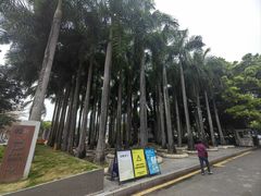 -深圳国际园林花卉博览园