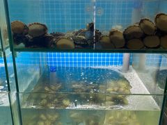 -白仁仔· 活烤海鲜 宵夜(豫园店)