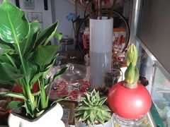 -FEI FEI FLOWER鲜花店·气球派对·宝宝宴布置(虹口德必运动Loft店)