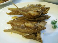 -上海会馆(香港名都店)