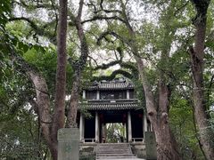 -溪口-滕头旅游景区