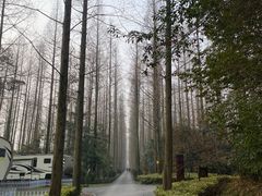 -上海怡沁园度假酒店