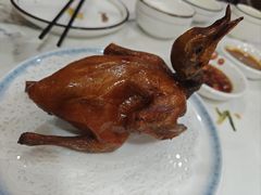 -鸽鸟轩(石岐店)