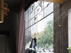 -小杨烤肉(高新店)