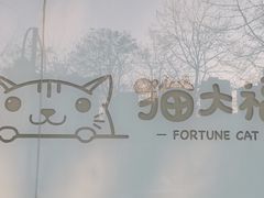 -猫大福·Fortune Cat猫舍(百子湾店)