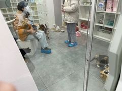 -极木²邸 人与宠物·互动社区