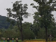 -狼山风景名胜区