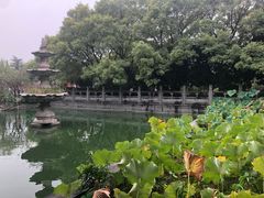 -洛阳白马寺