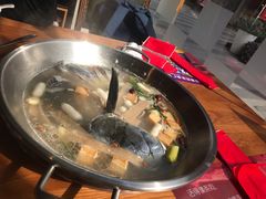 -红牌美蛙鱼头火锅(万辉国际广场店)