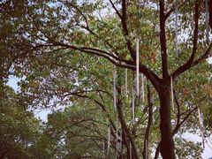 -千龙湖生态旅游度假区