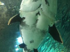 -福州罗源湾海洋世界旅游区