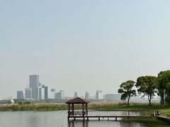 -苏州金鸡湖大酒店