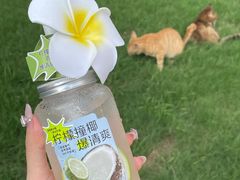 -素匠泰茶(三里屯SOHO工体奶茶店)