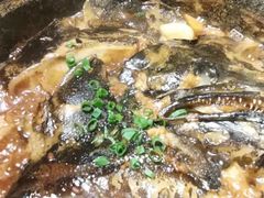 砂锅蝶鱼头-新海渔港·胶东海鲜家常菜·家宴(奥体中心店)