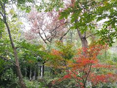 -南山风景名胜区