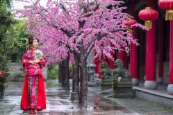 -金夫人婚纱摄影(华南店)