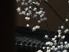 -龙华寺