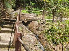 -狮子山郊野公园