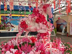 -荷兰花海