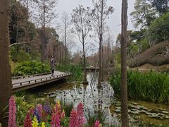 -云溪植物园