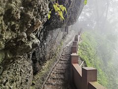 -青城山